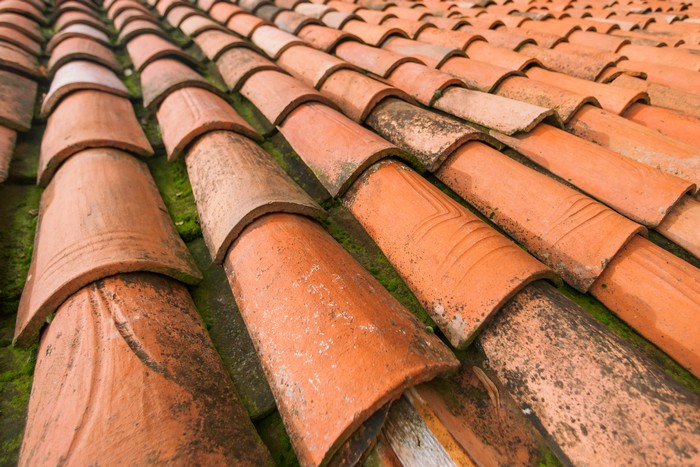 Control-Roof-Moss-Milton-WA