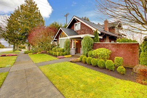 Federal Way Roof Cleaner Near Me