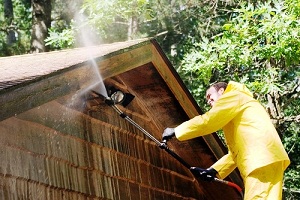 Edgewood Shingle Roof Cleaners