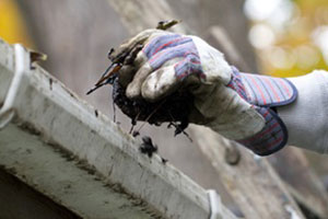 Fox Island Shingle Roof Cleaning