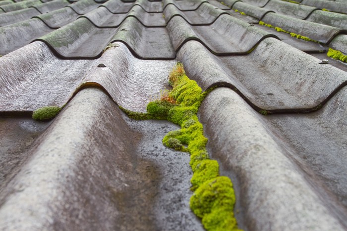 Tile-Roof-Moss-Control-Milton-WA