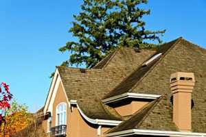 Expert Edgewood roof cleaners in WA near 98372