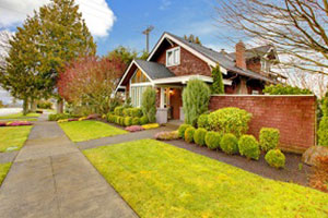 Expert Federal Way roof cleaners in WA near 98003